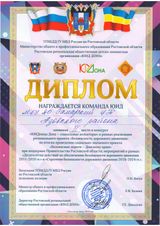 "ЮИДовцы Дона - социальные волонтеры". Областной конкурс агитбригад, октябрь 2019